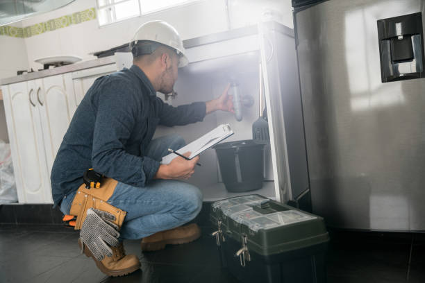 Best Same-Day Plumbing Service  in Dryden, MI