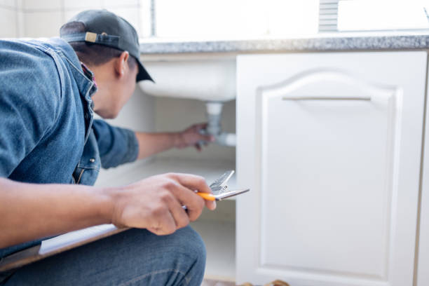 Best Clogged Drain Plumber  in Dryden, MI