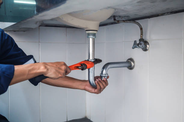 Best Water Heater Repair  in Dryden, MI