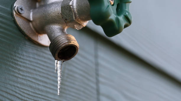 Best Sewer Line Repair  in Dryden, MI