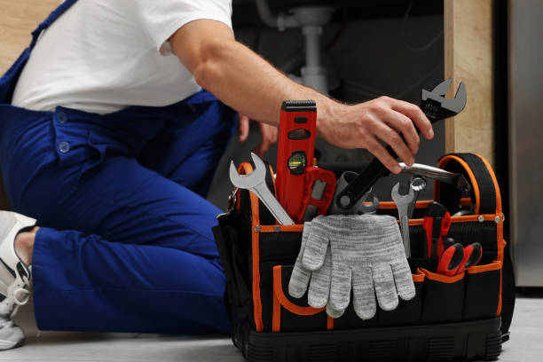 Best 24-Hour Plumber Near Me  in Dryden, MI