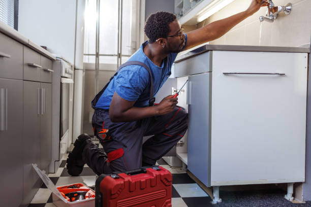 Best Septic Systems  in Dryden, MI