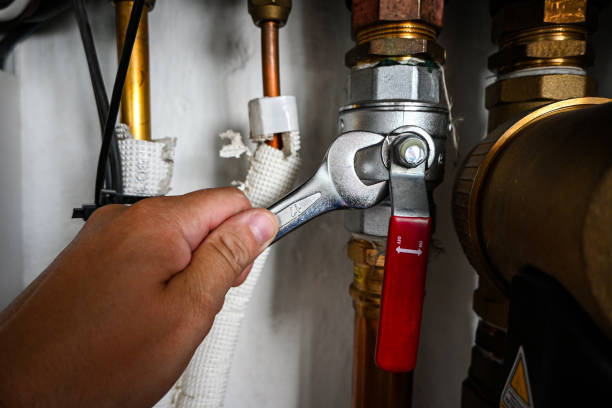Best Sprinkler Systems  in Dryden, MI